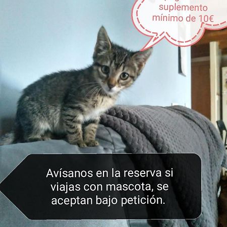 康达Casa Gueelito公寓 外观 照片